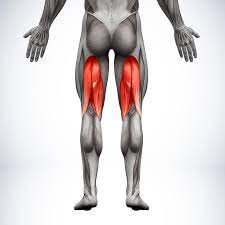 How to train hamstrings